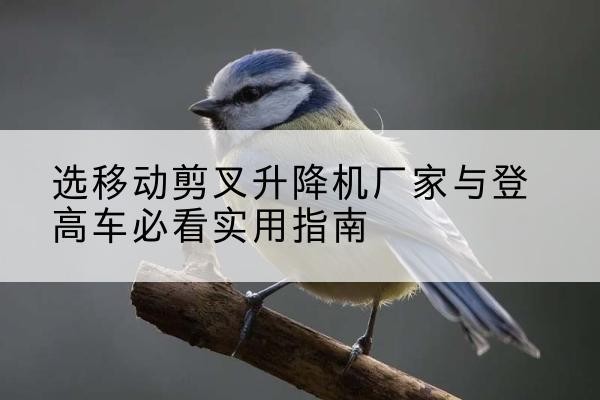 柯桥电动升降机厂家-选移动剪叉升降机厂家与登高车必看实用指南