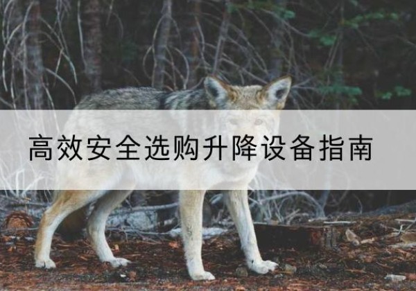柯桥升降货梯厂家推荐-*安全选购升降设备指南